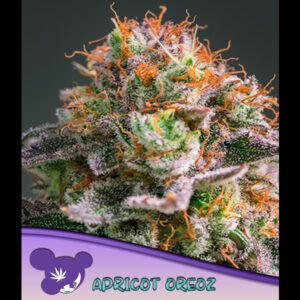 Apricot Oreoz