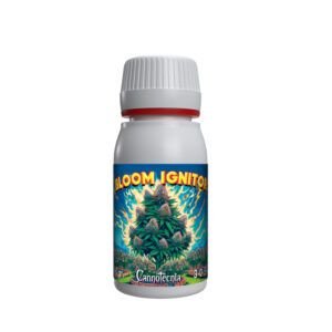Bloom Ignitor Cannotecnia