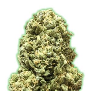 Girl Scout Cookies