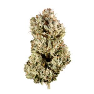 Gorilla Glue 100u.