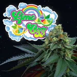Lime OZZ 6unidades