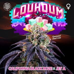 Loukoum 6unidades