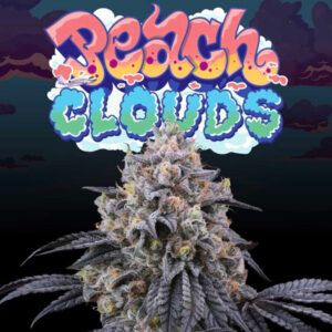 Peach Clouds 6unidades