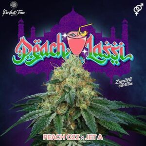 Peach Lassi 6unidades