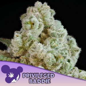 Privileged Baddie