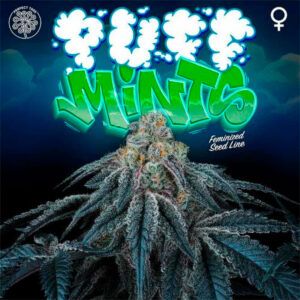 Puff Mints 6unidades