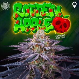 Rotten Apple 6unidades