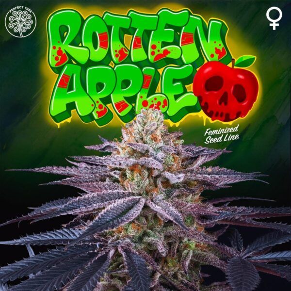 Rotten Apple 6unidades