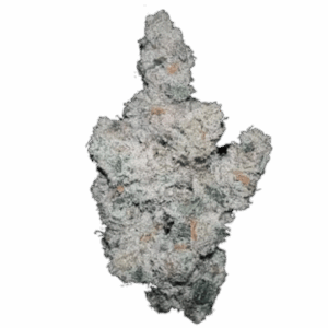 Superboof