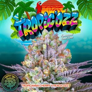 Tropicozz 6unidades