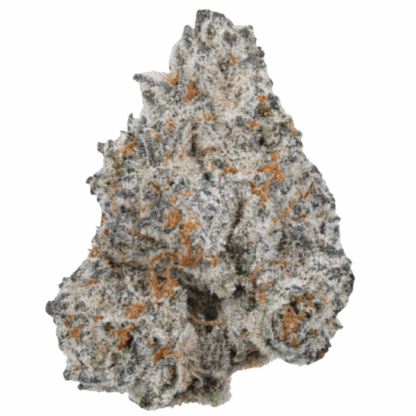 White Truffle Limited Edition