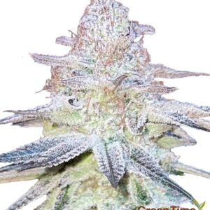 Blue Gelato