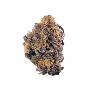 Purple Tangie 100u.