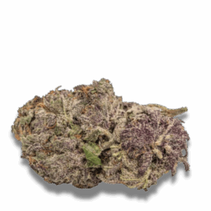 Ultra Violet GMO
