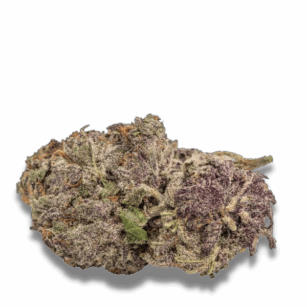 Ultra Violet GMO