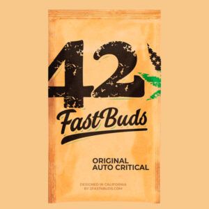 Auto Critical