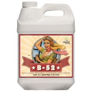 B 52