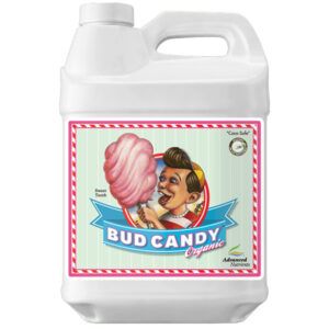 Bud Candy