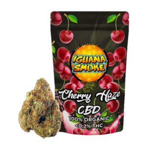 Cbd Cherry Haze Iguana Smoke