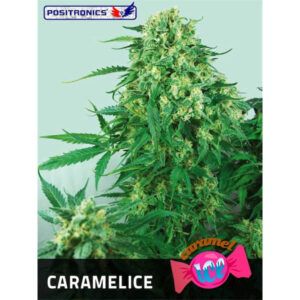 Caramelice