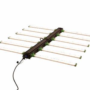 Sistema LED Dragonfly 640W