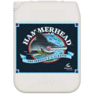 Hammerhead