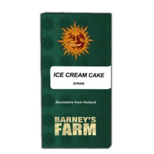 Ice Cream Cake