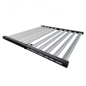 Led Platinum King Led 1.000w