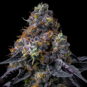 Rainbow Sherbet