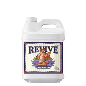 Revive
