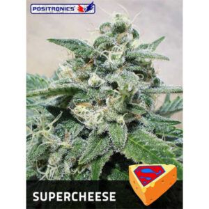 Supercheese