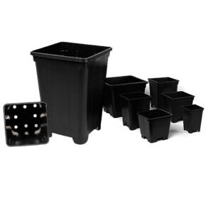 Macetas Negras Cuadradas